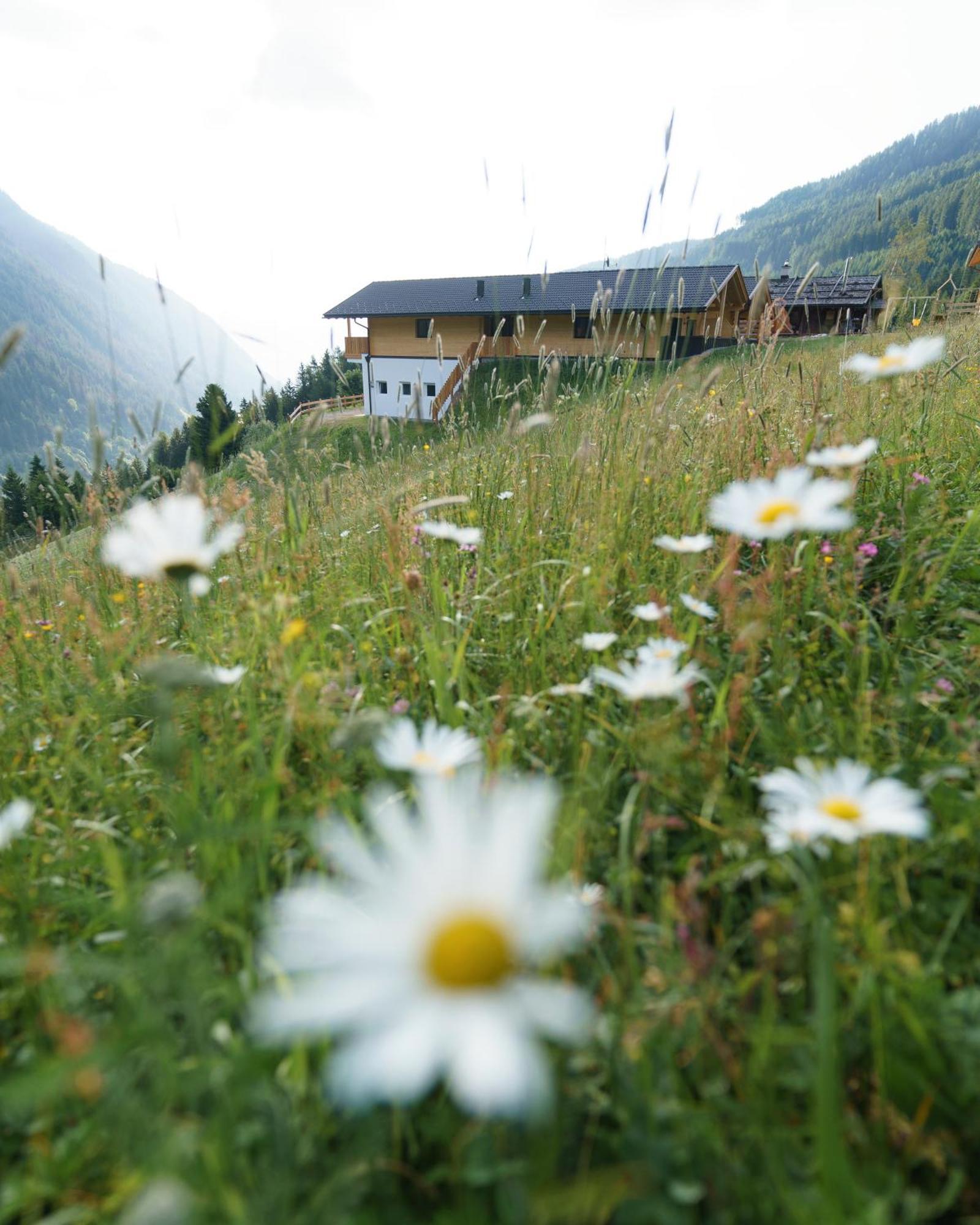 Blosegghof Bergchalets Waldblick Racines Eksteriør bilde